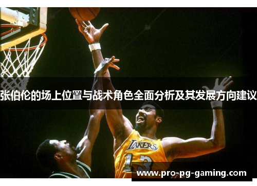 张伯伦的场上位置与战术角色全面分析及其发展方向建议