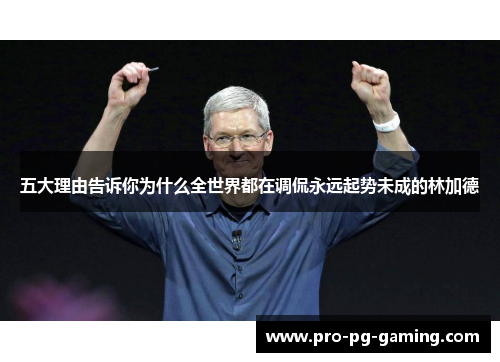 五大理由告诉你为什么全世界都在调侃永远起势未成的林加德