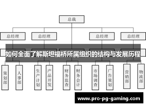 如何全面了解斯坦福桥所属组织的结构与发展历程